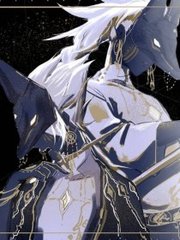 小红帽2026版本更新