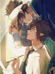 蘑菇视频app在线观看